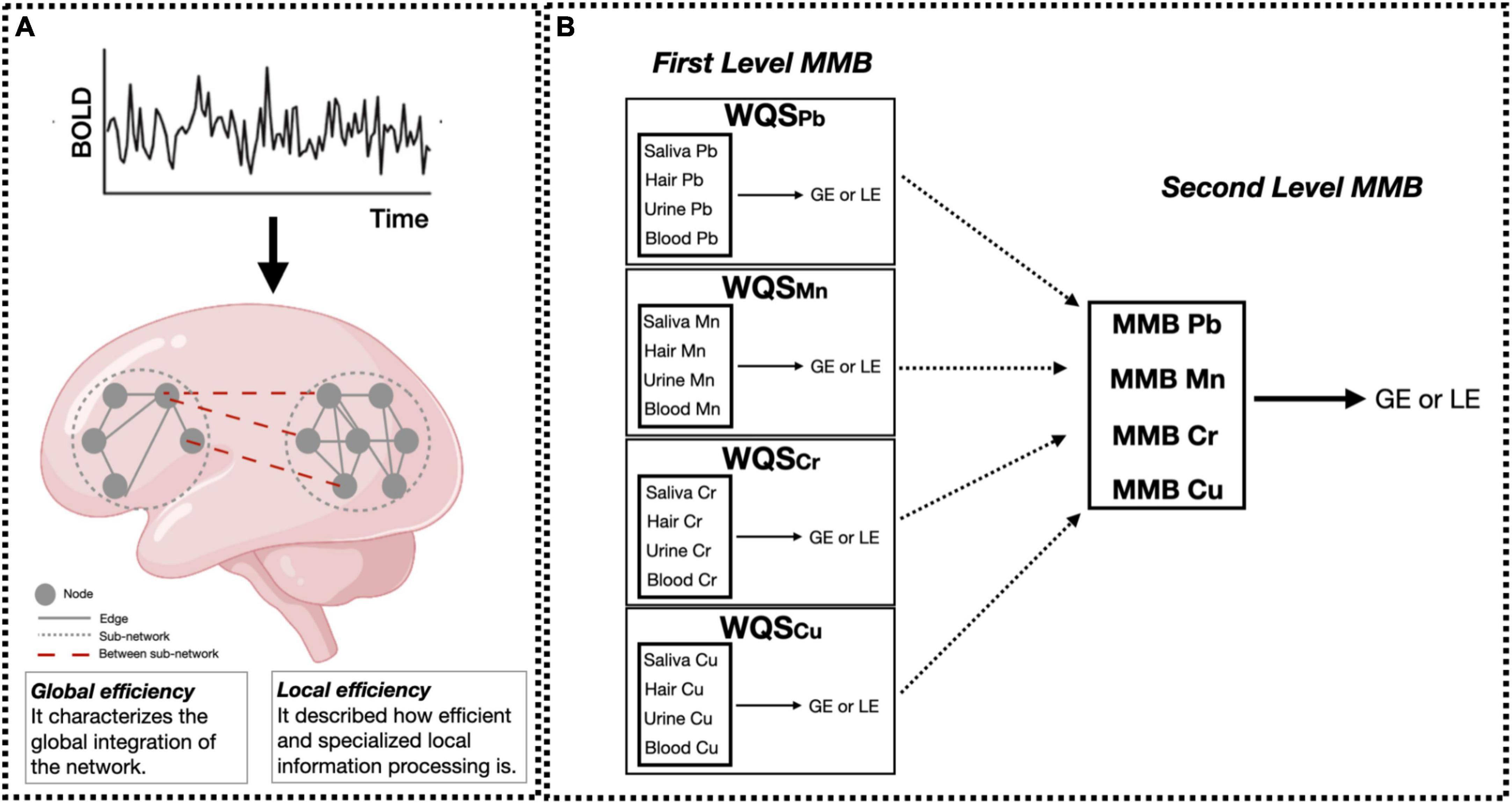 Topological network properties of resting-state functional connectivity patterns are associated with metal mixture exposure in adolescents